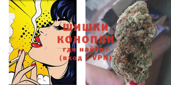 кокс Белокуриха