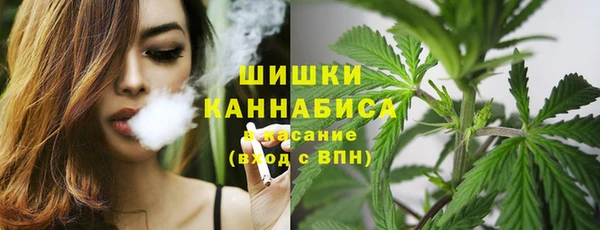 кокс Белокуриха
