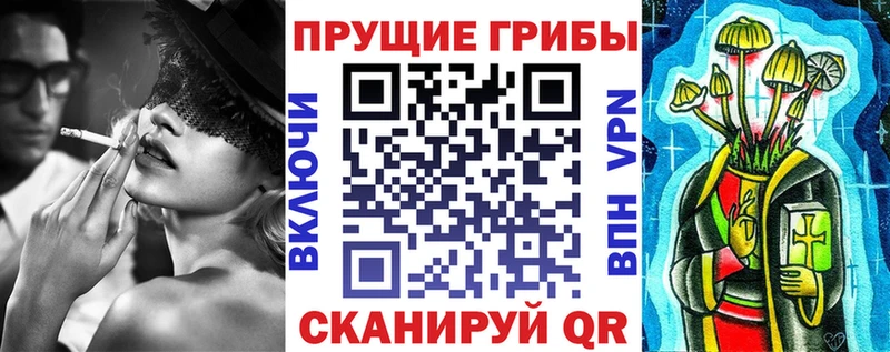 Купить где  Сухой Лог  Псилоцибиновые грибы ЛСД 
